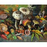 Paddenstoelen in Herfst, H.P. Groen