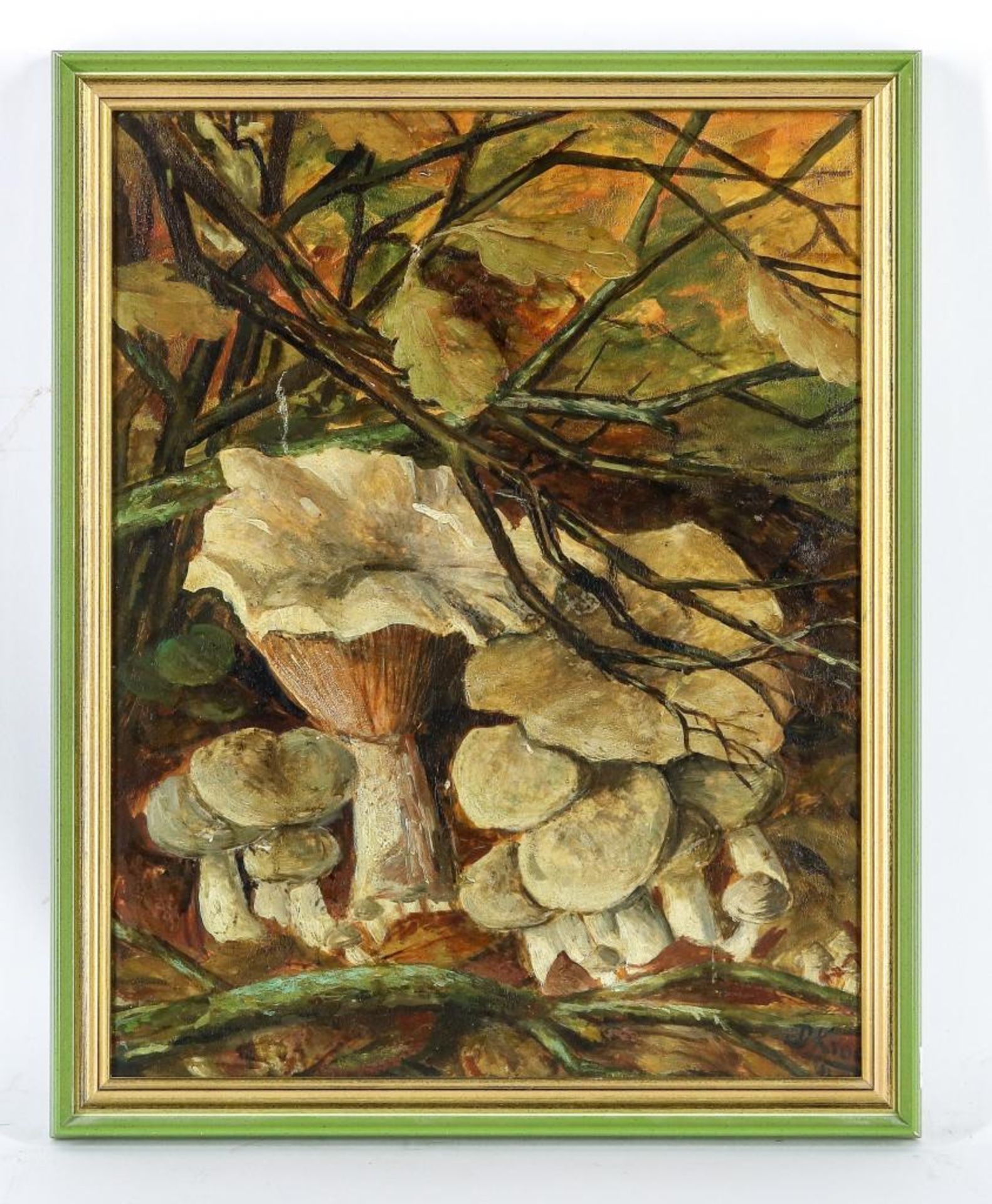 Onbekend paddenstoelen in Herfst - Image 4 of 4