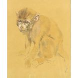 Mension, Cornelis Jan, Sitting monkey