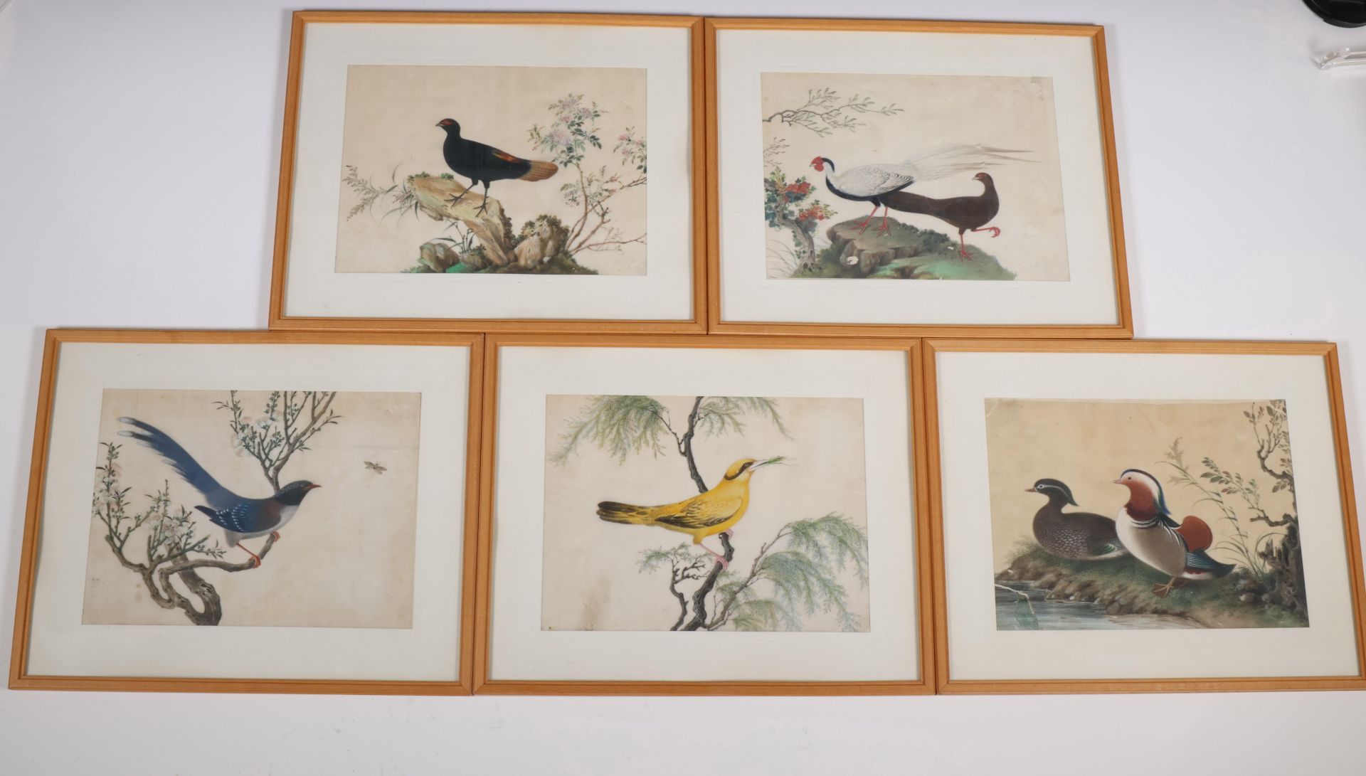 China, five export paintings on pith paper, 19th century,