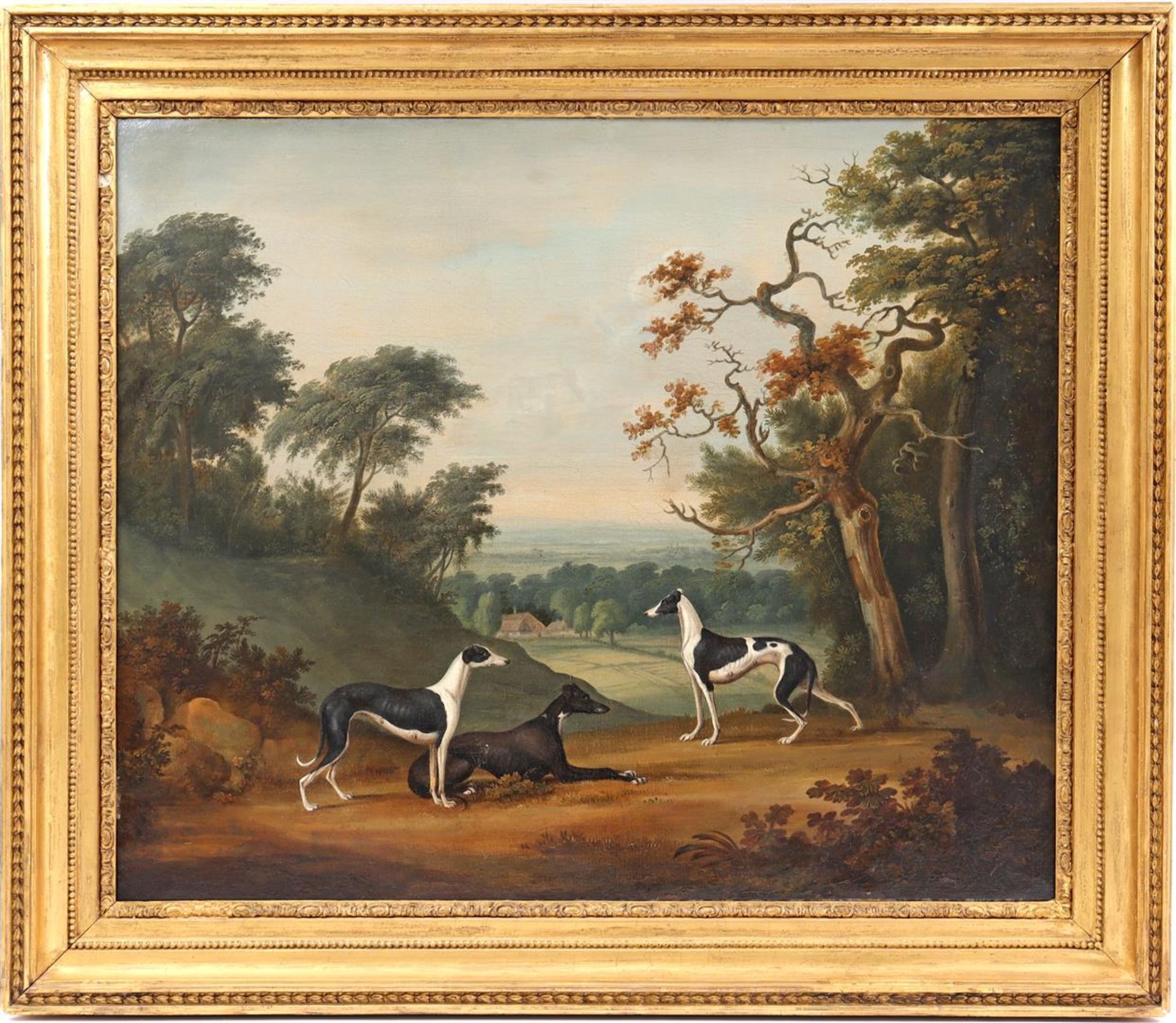 Anonymous, greyhounds