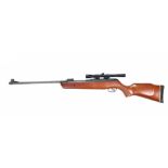 Gamo air rifle