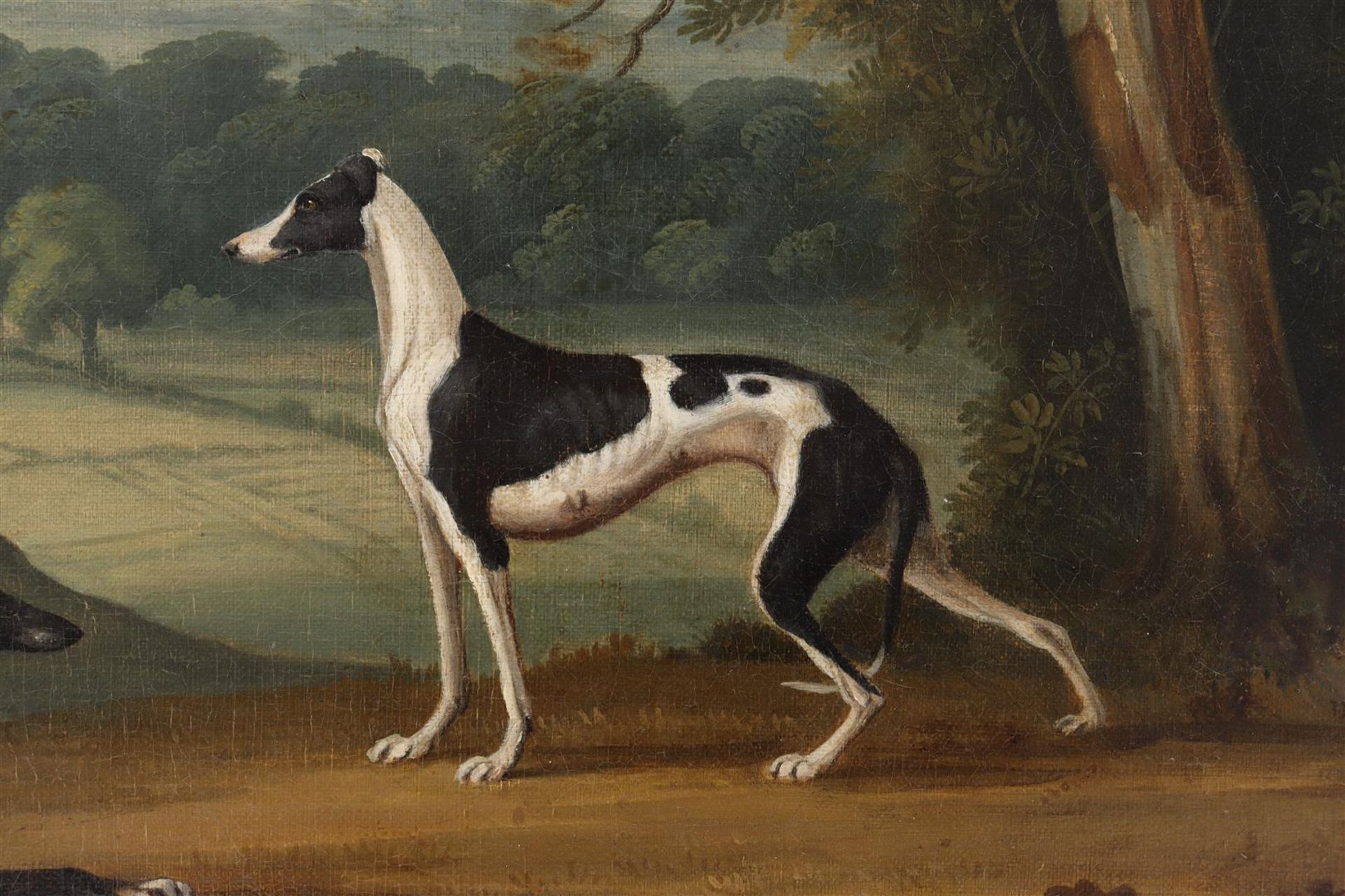 Anonymous, greyhounds - Image 3 of 5