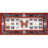 Wall decoration of 19 prepared butterflies