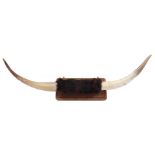 Buffalo horns