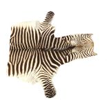 Zebra skin