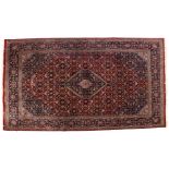 Hand-knotted Bidjar carpet