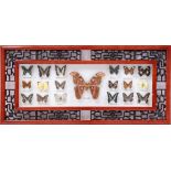 Wall decoration of 19 prepared butterflies