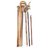 Collection walking sticks