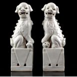 2 porcelain Blanc de Chine temple lions
