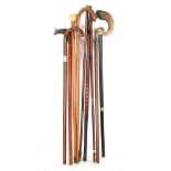 9 various walking sticks