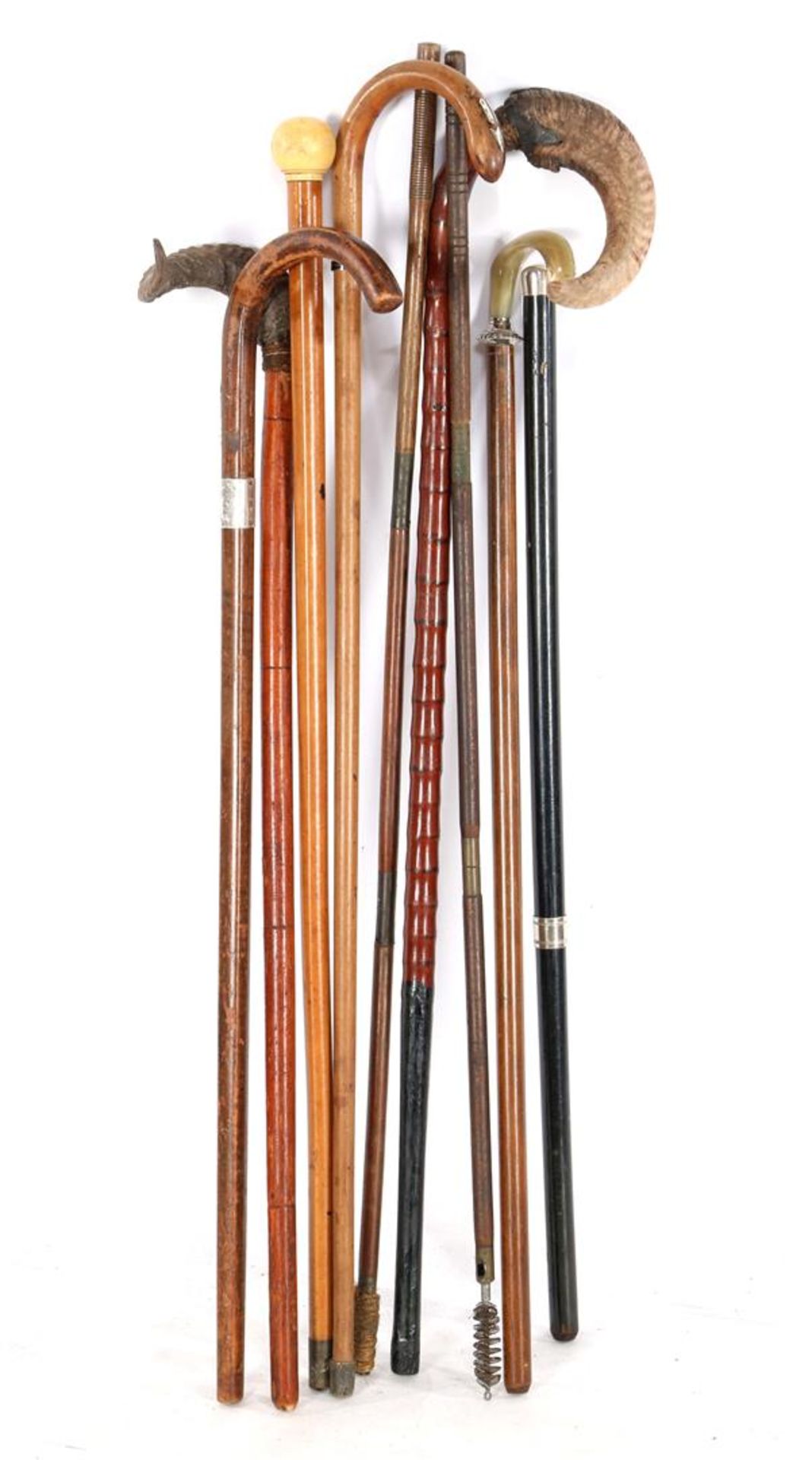9 various walking sticks