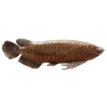 Bronze Arowana fish