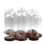 9 glass bell jars