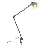 Adjustable metal clamp lamp