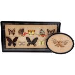 Butterflies in wooden frames