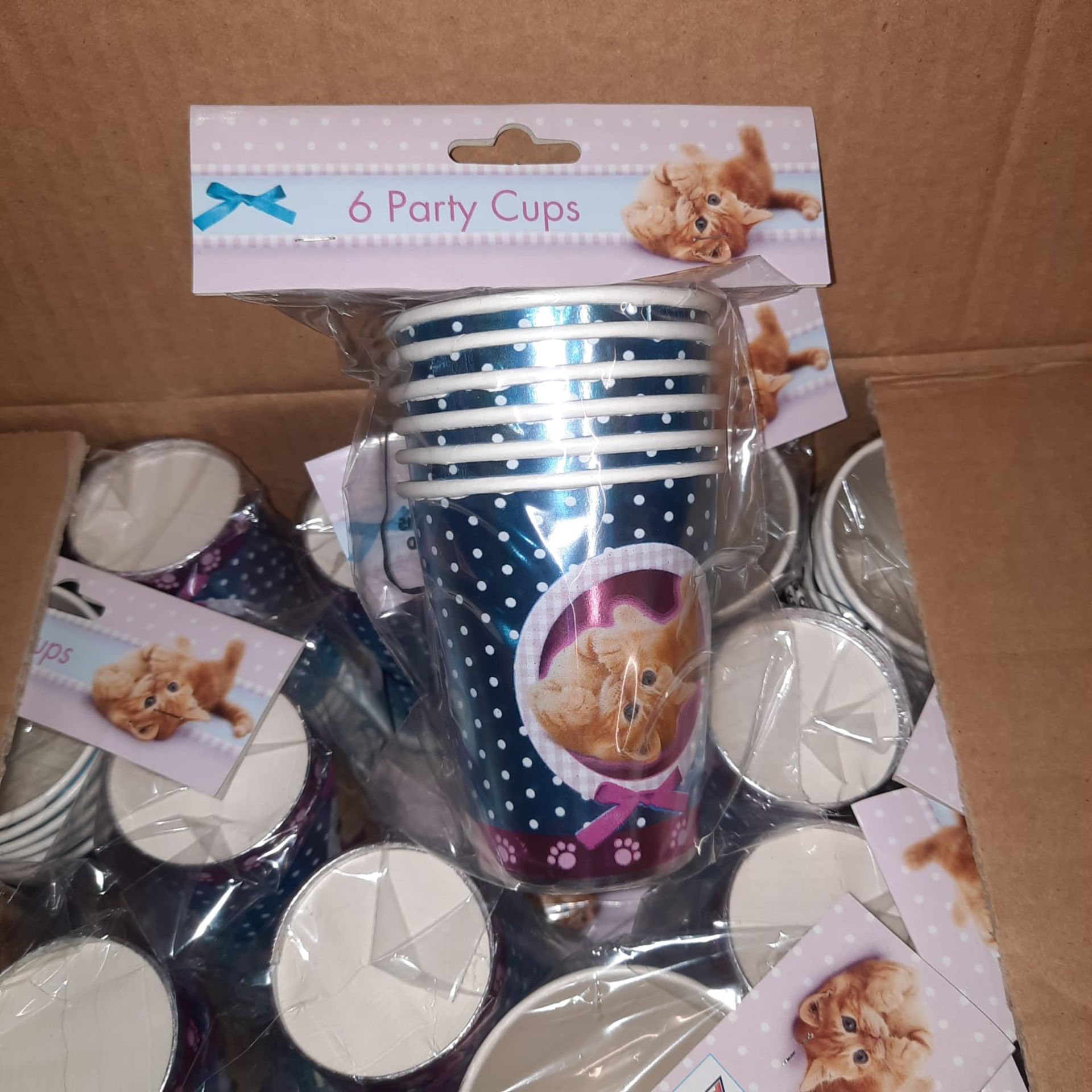 X 72 BRAND NEW & BOXED CAT & DOG PARTY METALLIC PAPER CUPS SALEROOM AT THE BACK.