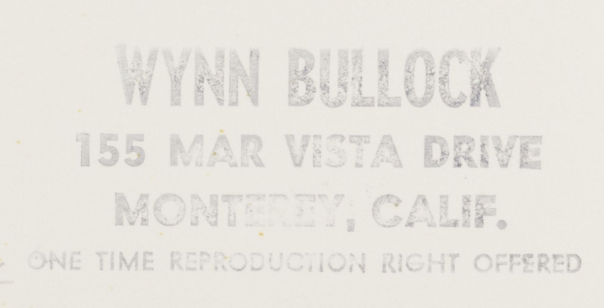 Wynn Bullock 1902-1975 - Bild 2 aus 2