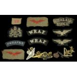 Royal Air Force Insignia. A miscellaneous selection including Women's Royal Air Force pairs...