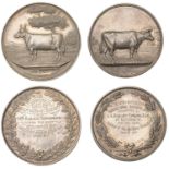 Dunlop Agricultural Society, a silver prize medal by J. Cameron & Son, rev. named (Presented...