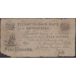 Plymouth-Dock Bank (Devonport), for Thomas Clinton Shiells & Henry Incledon Johns, Â£5, 1 Jan...