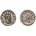 Divus Septimius Severus, Denarius, Rome, 211, bare head right, rev. consecratio, eagle on gl...