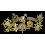 Military Badges. A selection of military badges including, Canadian, scarce New Brunswick P...
