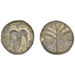 Bar Kochba Revolt, Ã† Unit, attributed to yr 2 [133-4], palm tree with seven branches and two...