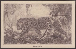 Banque du Congo-Belge, an attractive vignette featuring a prowling leopard used on the 50 Fr...