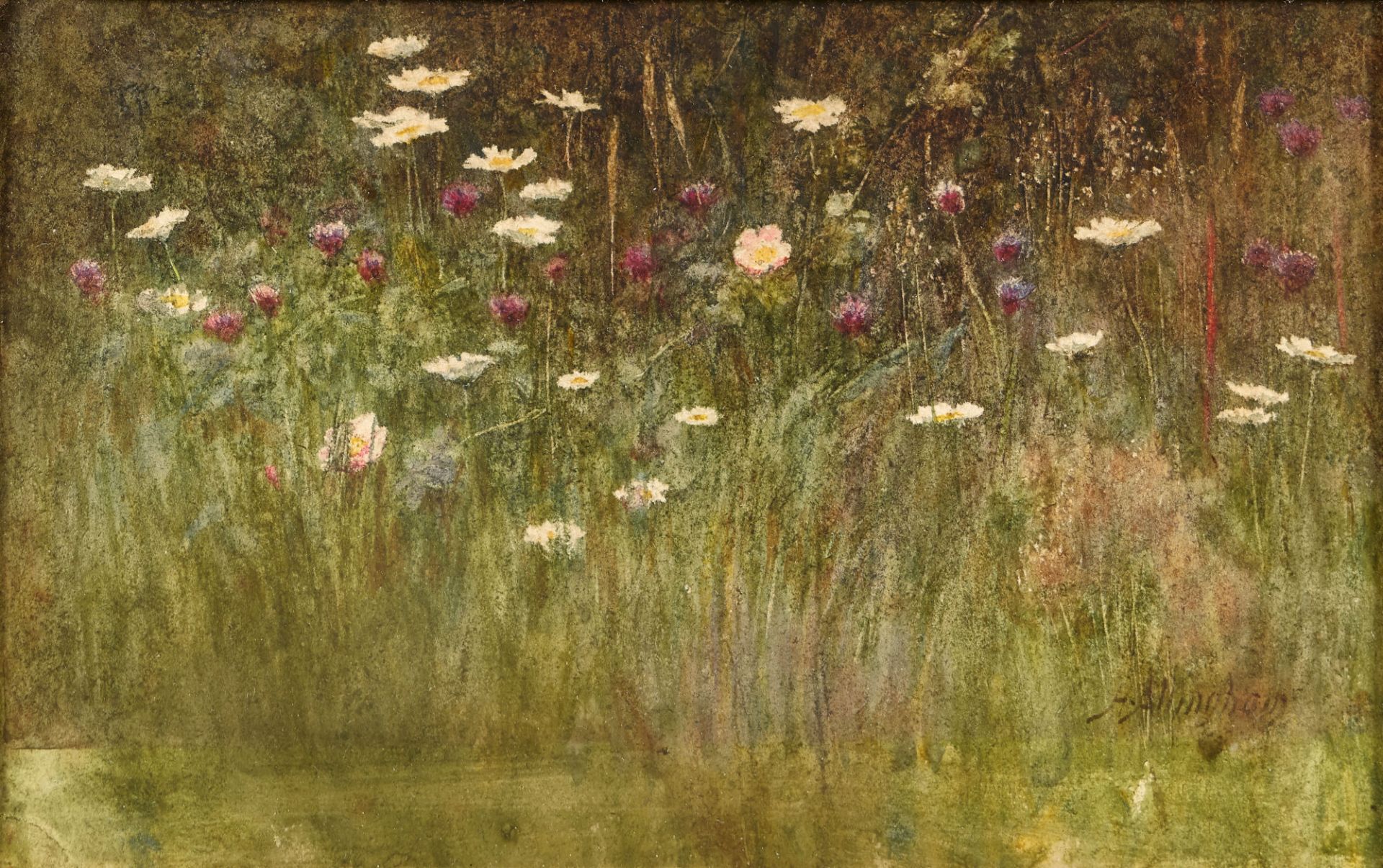 ALLINGHAM, HELEN: Blumenwiese.