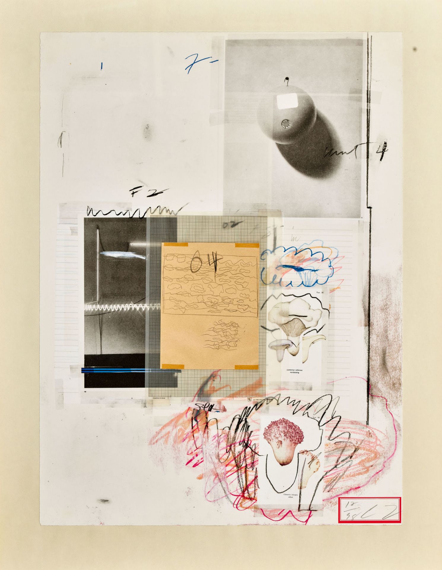 TWOMBLY, CY (EIGTL. TWOMBLY, EDWIN PARKER JR.): "Natural History Part I/No VIII".