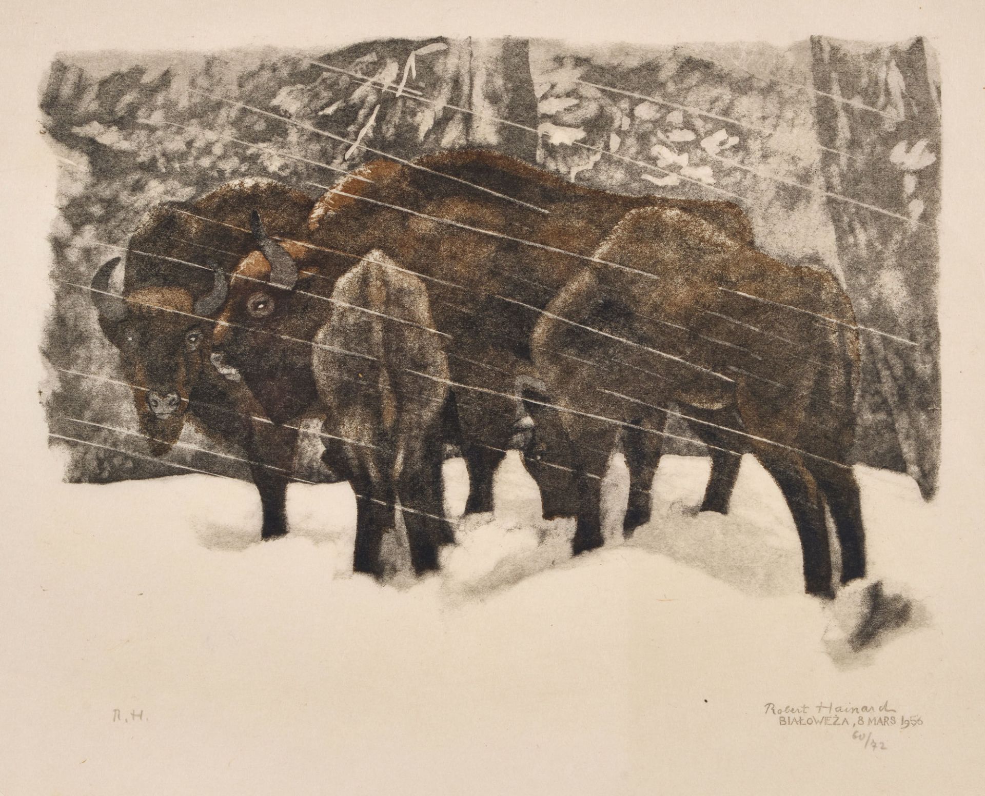 HAINARD, ROBERT: "Bisons sous la neige".