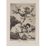 de Goya, Francisco