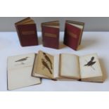 SIX VOLS 'BRITISH BIRDS' BY REV. F. O. MORRIS, each volume with over forty colour engravings,