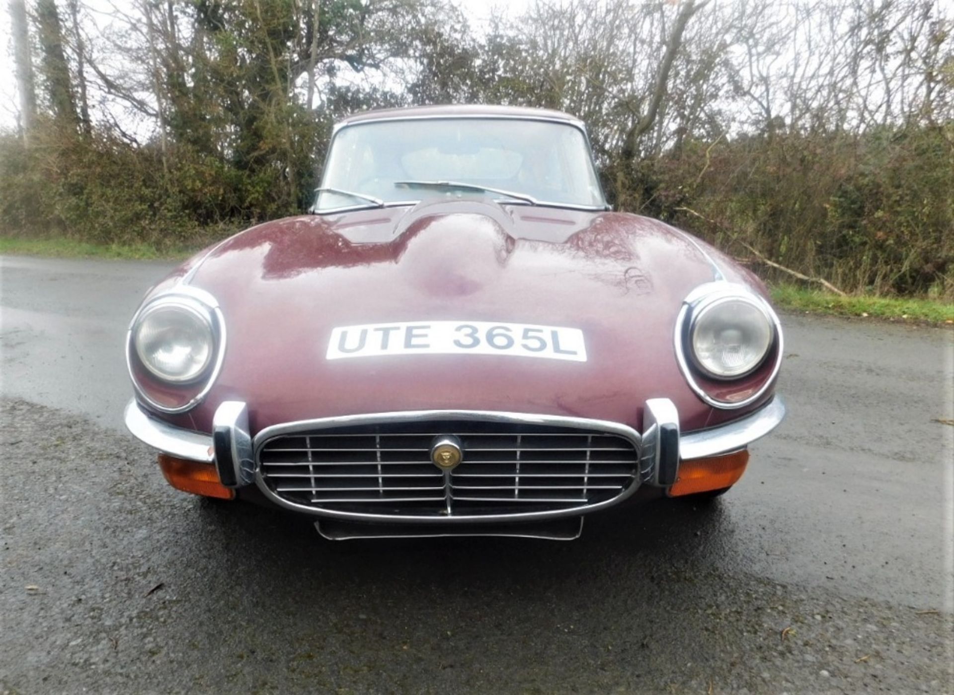 1972 JAGUAR E-TYPE SERIES III FIXED HEAD COUPE Registration Number: UTE 365L Chassis Number: 1S. - Image 5 of 19