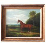 F. STOWARD (BRITISH ,19TH CENTURY) OIL PAINTING ON CANVAS OF BAY MARE (1859), signed and dated in