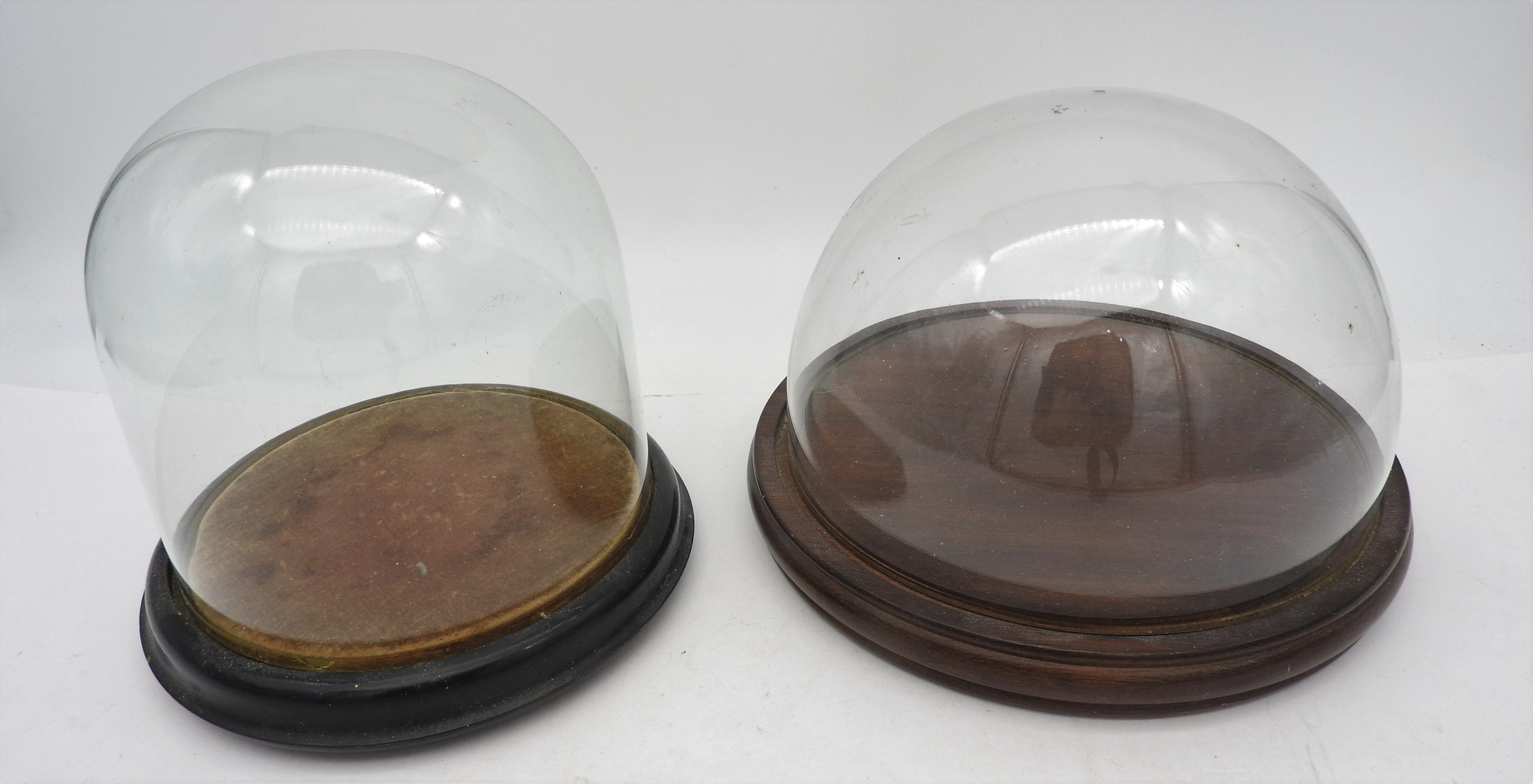 A SMALL VICTORIAN GLASS DOME ON AN EBONSED WOODEN BASE and a small modern glass dome 17 cms high