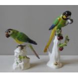 TWO MEISSEN MODELS OF PARROTS, LATE 19TH / EARLY 20TH CENTURY, one perched on a rocaille base (20.