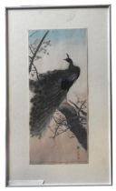 ITO SOZAN (b.1884) 'PEACOCK PERCHED ON A BRANCH' WOODCUT COLOUR PRINT 38 x 16 cm