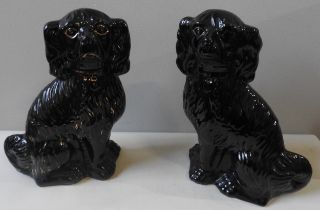 TWO BLACK GLAZED STAFFORDSHIRE SPANIEL FIGURES, 20TH CENTURY, in the Victorian style, with gilded