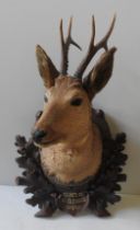 A TAXIDERMY ROE DEER 'S HEAD, EARLY 20TH CENTURY, mounted on an oval black forest carved panel, with