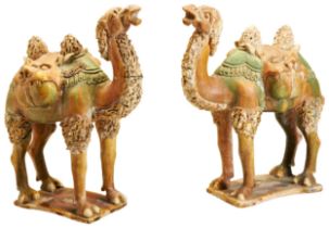 PAIR OF CHINESE SANCAI GLAZED BACTRIAN CAMELS QING DYNASTY, 19TH CENTURY in the Tang style 24cm high
