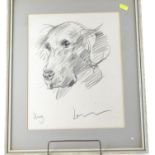 Pencil sketch of a dog called Honey, signed lower right, appears to be Lenkiewicz, 39 x 47cm inclusi