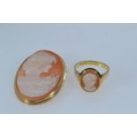 14ct gold & cameo pendant/brooch & ring, cameo 38mm long, ring size Q1/2, gross weight 12.75 grams