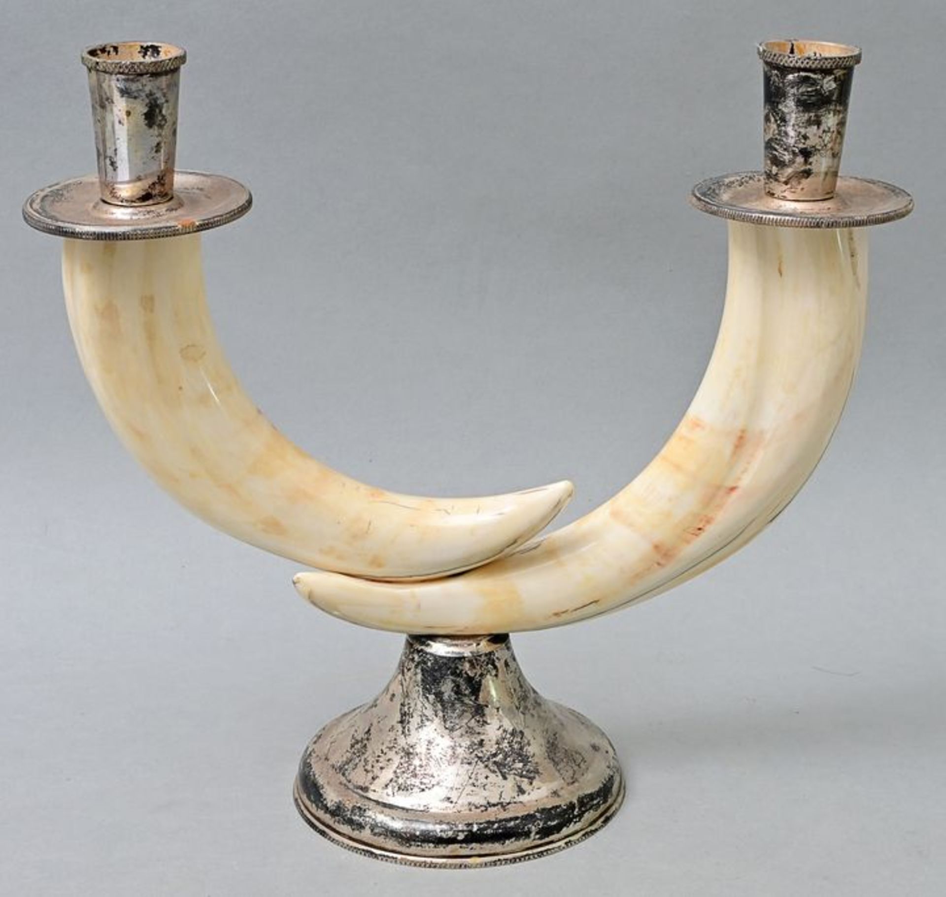 Trophäenleuchter/ candelabra