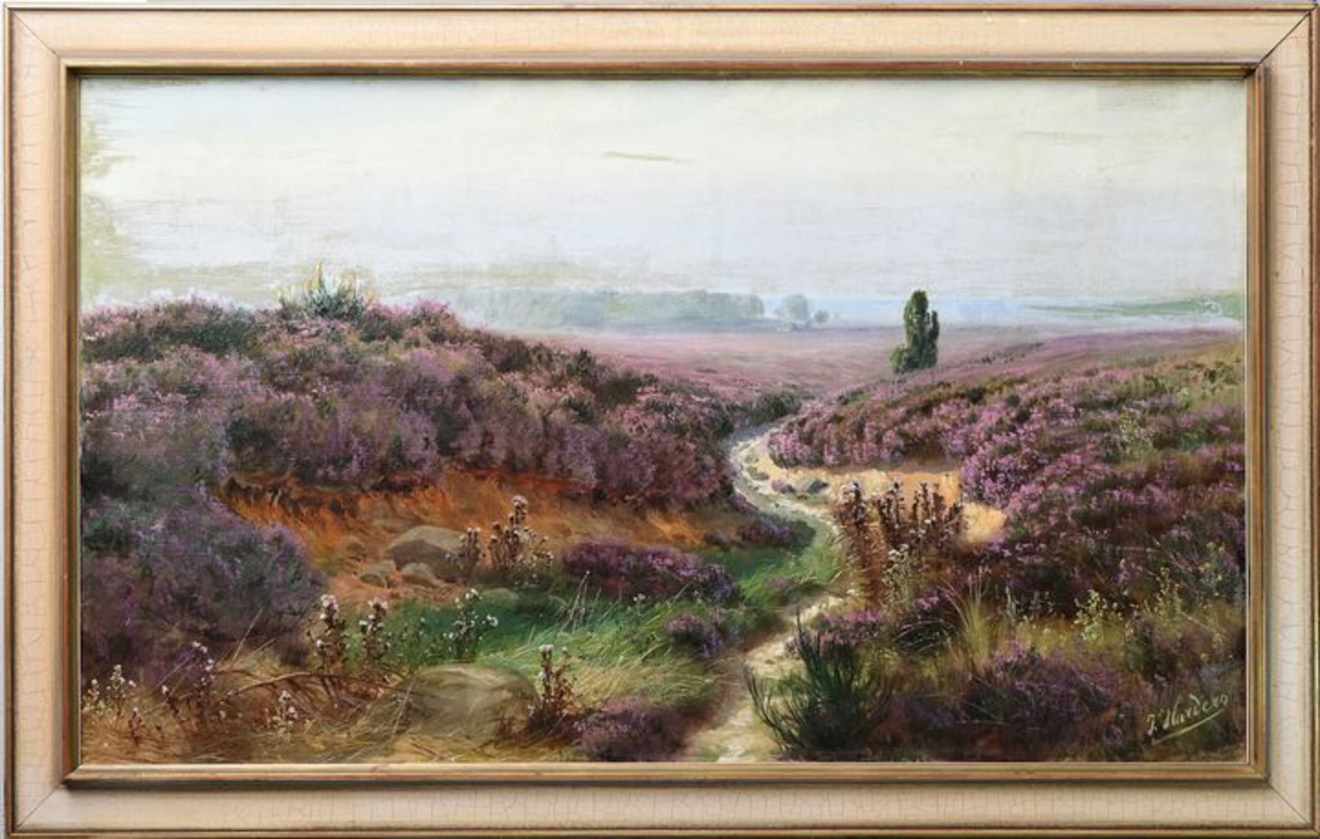 Blühende Heide/ landscape - Bild 2 aus 5