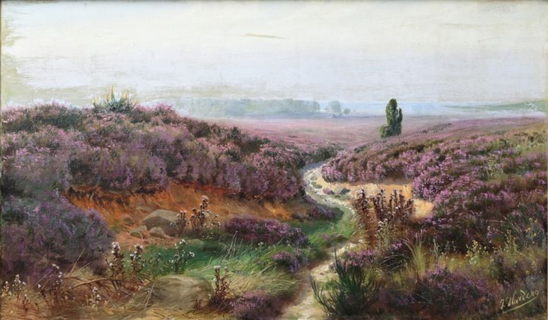 Blühende Heide/ landscape