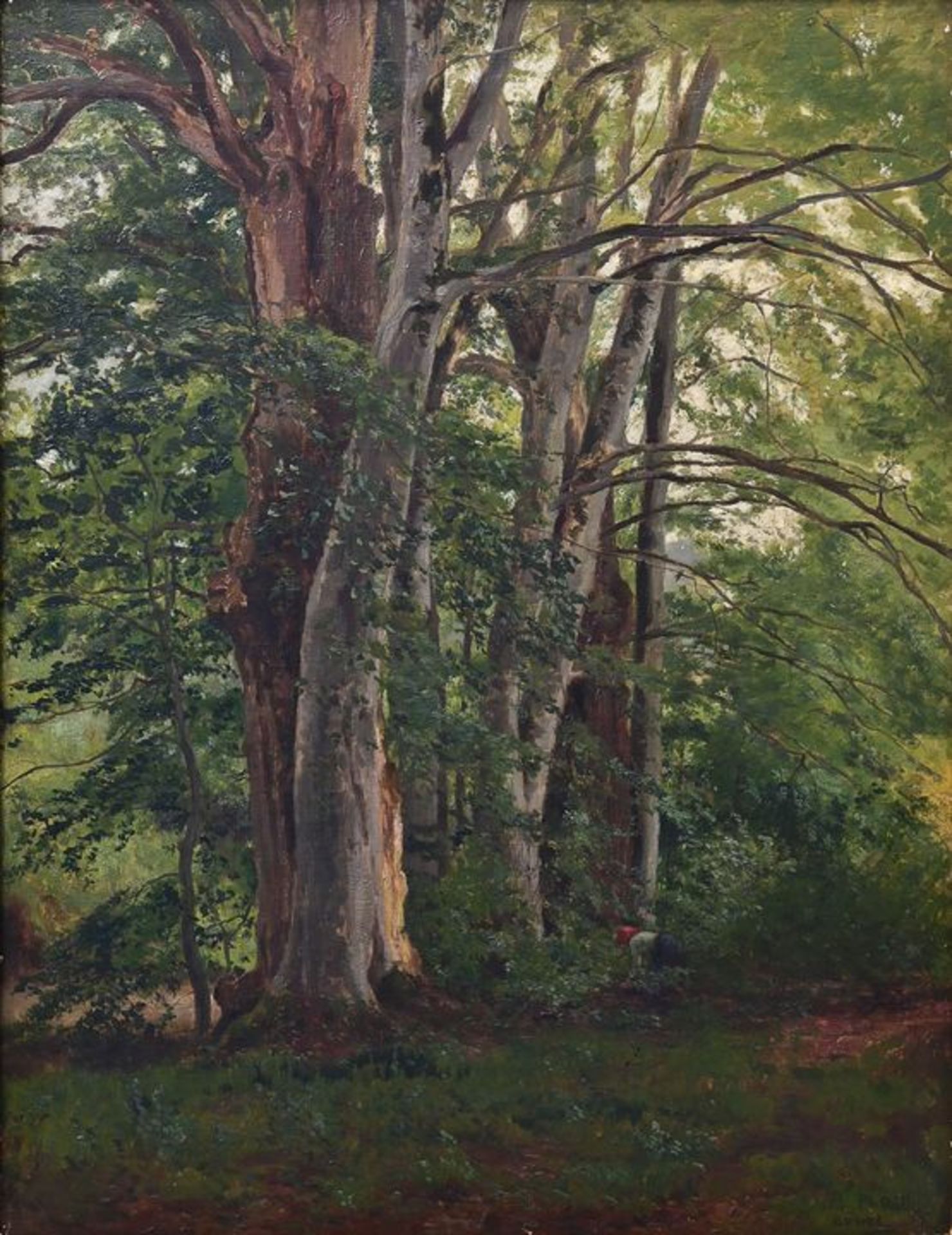 Röth, Waldstück / Roth, Woods