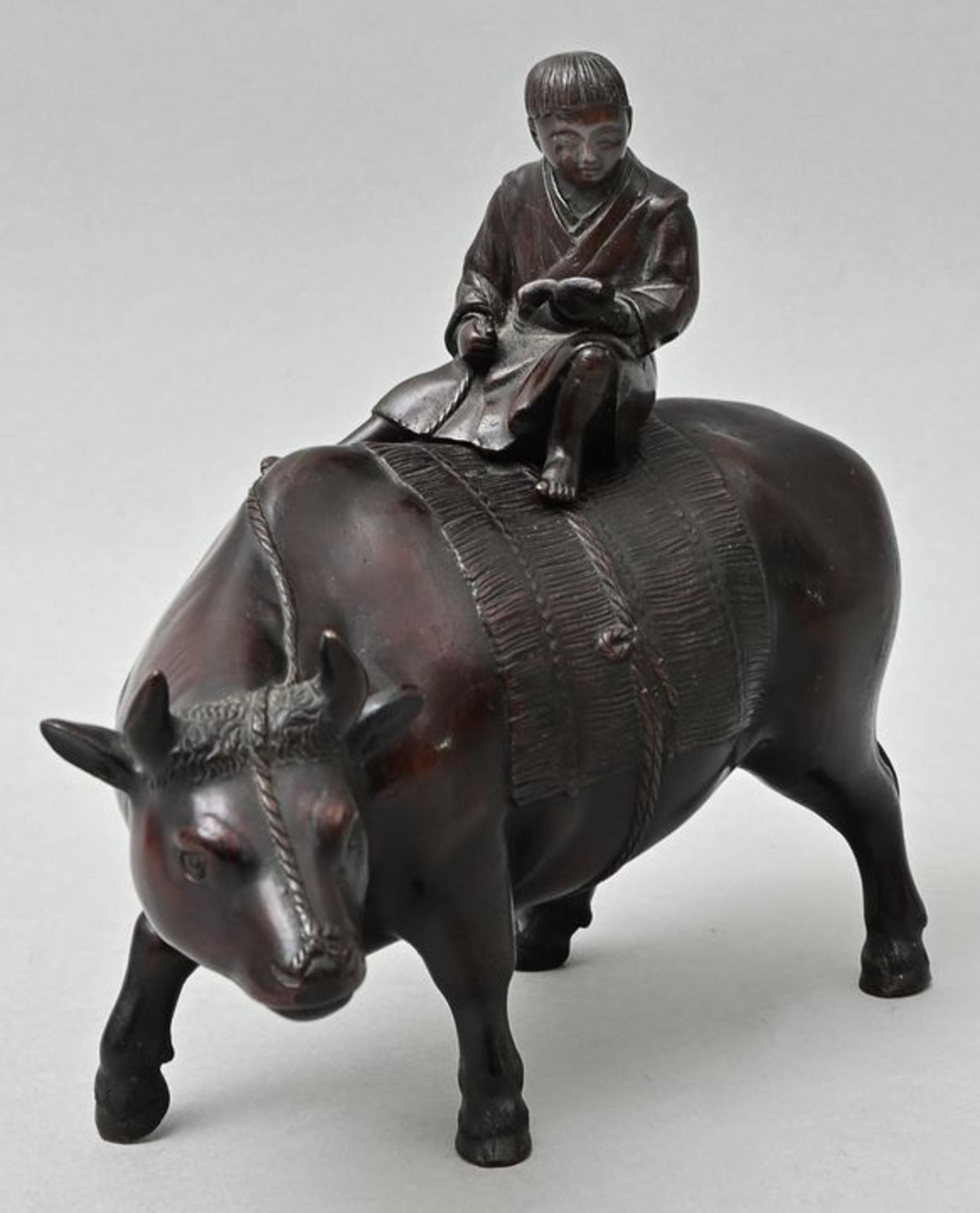 Junge auf Wasserbüffel/ boy riding on a water buffalo - Bild 3 aus 5