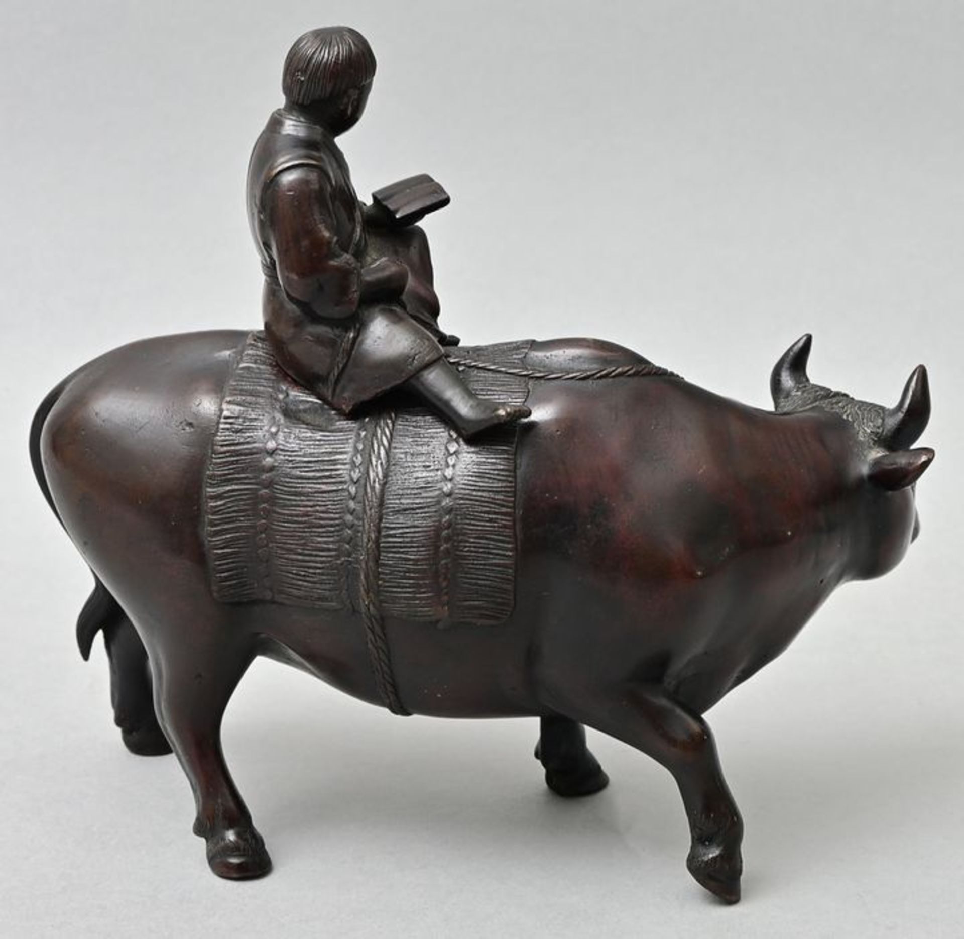 Junge auf Wasserbüffel/ boy riding on a water buffalo - Bild 2 aus 5